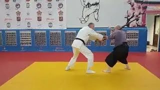 меч . техника в доспехах . техника без оружия.