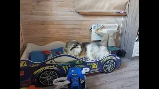пятница - день ХАСЮКА