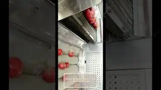 Tomato Washing And Drying Machine