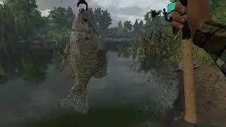 Fishing Planet 2021 - 4th July - Fish Tag coordinates 2 - Complete