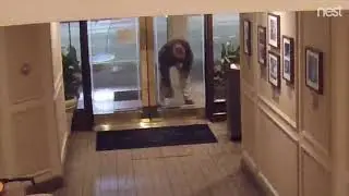 Midnight mat thief