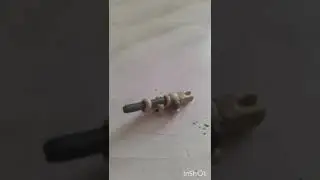 Hummel из пластилина.