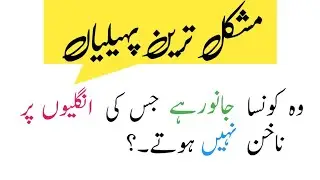 New General knowledge questions and answers 2023/Riddles in urdu new 2023/New paheliyan 2023