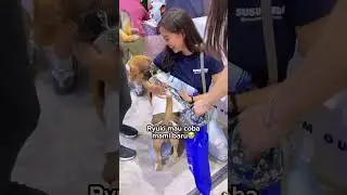 REAKSI RYUKI KETIKA MAMI SELINGKUH SAMA HEWAN LAIN‼️😳 