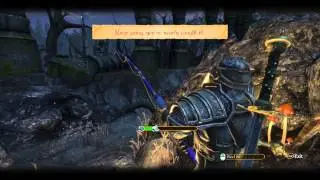 Fable Anniversary Heroic Mode Gameplay - Part 3 (Finding Theresa Again - The Final Battle)