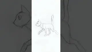 meow