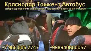 Краснодар Ташкент Автобус #мусофир #шошилинч_хабарлар #2023video #официальный #рейсы #растоп #анапа