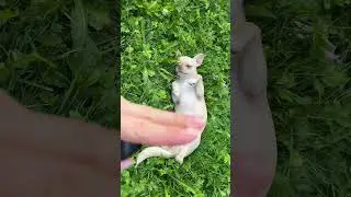 Знаете, что это? 