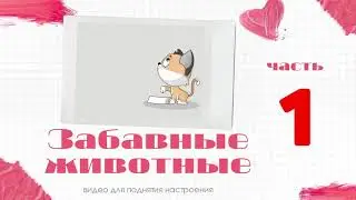 №1 Забавные животные