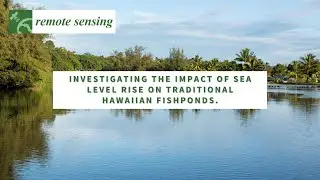 Monitoring the effects of sea level rise on Hawaiian loko'ia 🌊