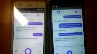 Две Алисы разговаривают между собой