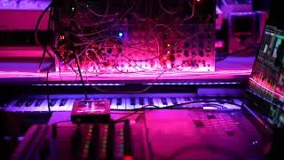 WAVE Modular Synth Improvisation 2021 Vol.8