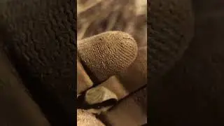 Древняя находка! 