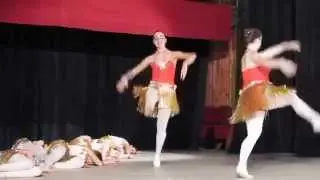 Балетна академия Марян 2015 - Дивашки Танц