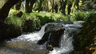 A Day Of Relaxing - Ifran Ain Vitel