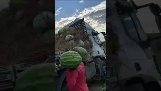 Погрузка Конго 🍉💪🏻🚛