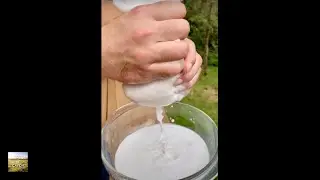 We Make FRESH COCONUT MILK | Eat And Be Eaten HAWAII