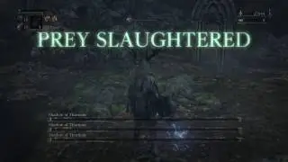 Bloodborne Few-Hits-KO Run - Shadows of Yharnam 1HKO