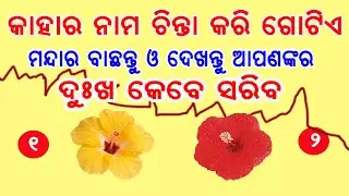 ଜାଣନ୍ତୁ ଆପଣଙ୍କର ଦୁଃଖ କେବେ ସରିବ କାହାର ନାମ ଚିନ୍ତା କରି ବାଛନ୍ତୁ ଗୋଟିଏ ମନ୍ଦାର //