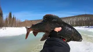 РЫБАЛКА НА ТАЕЖНОЙ РЕКЕ