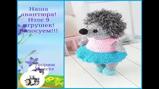 Our adventure. The final tally: 9 toys. Let's start voting!!!