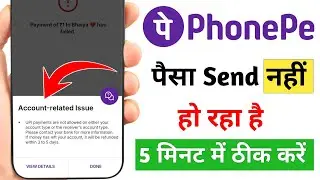 upi payments are not allowed on either your account type or the receiver’s account type |PhonePe Fix