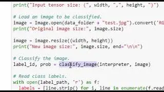 How to Run TensorFlow Lite Models on Raspberry Pi
