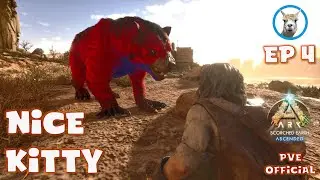 Base Move and Big Cat Taming Time - Scorched Ascended  Ep4 - Official PVE - Ark Survival Ascended
