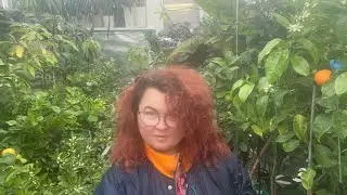 Теплица для цитрусов и экзотов 🍋🍊🥭🥑🍌🍍🌺🌸, обзор,  февраль 2022