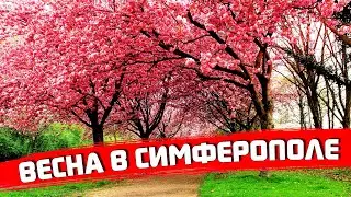 Spring Simferopol / Just a stroll