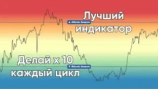 Лучший индикатор для анализа рынка криптовалют | Что означает сезон альткоинов и сезон биткоина