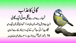 Quotes about Allah ki Hikmat or Ehsan / Best collection of Islamic quotes in Urdu / Amazing quotes