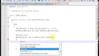 java program read file  line by line | learn java file handling Programming