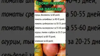 #shorts Сроки посева на РАССАДУ.
