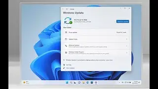 Fix Dev,etc  Channel and leave now from insider program in Windows Insider Program