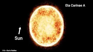 Star Size Comparison || Info ReX