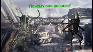 Теория по чужому "Попытки Дэвида"!