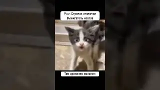 #сталкер #рек #stalker #stalker2 #share #shorts #youtubeshorts #shortvideo #memes #meme #gaming #top