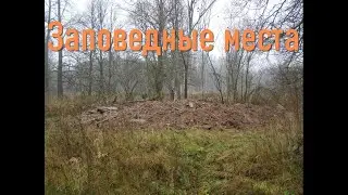 КОП ПО ВОЙНЕ №18.МИНОМЕТНАЯ ПОЗИЦИЯ/Excavations at a mortar position.