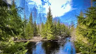 Есть ли жор щуки в мае в Карелии. Рыбалка Карелия.