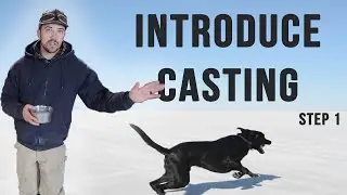 Retriever Handling Drills