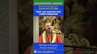 Почему, даже закоренелые иудеи становятся кришнаитами?