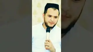 Сардор домла