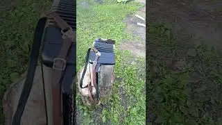 Какие мысли?