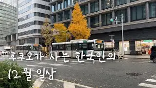 후쿠오카 하카타 사는 한국인 12월 일상, 낮술하고 일본인 친구에게 한국 술 게임 가르쳐주면 일어나는 일, 이토시마 굴 먹으러, 메리 크리스마스🎄, 칼디 스프레드 추천, 일본 일상