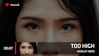 HARLEY BIRD - TOO HIGH