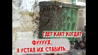 Где и как ставить ловушки на пчёл. Как это делаю я?