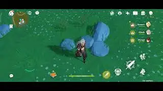 PP rock for wishing location | Genshin Impact