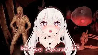 VRChat : Horreur 26 - On se croit a disneyland horreur 🤓