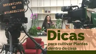 Plantas para Dentro de Casa -  Entrevista TV Evangelizar